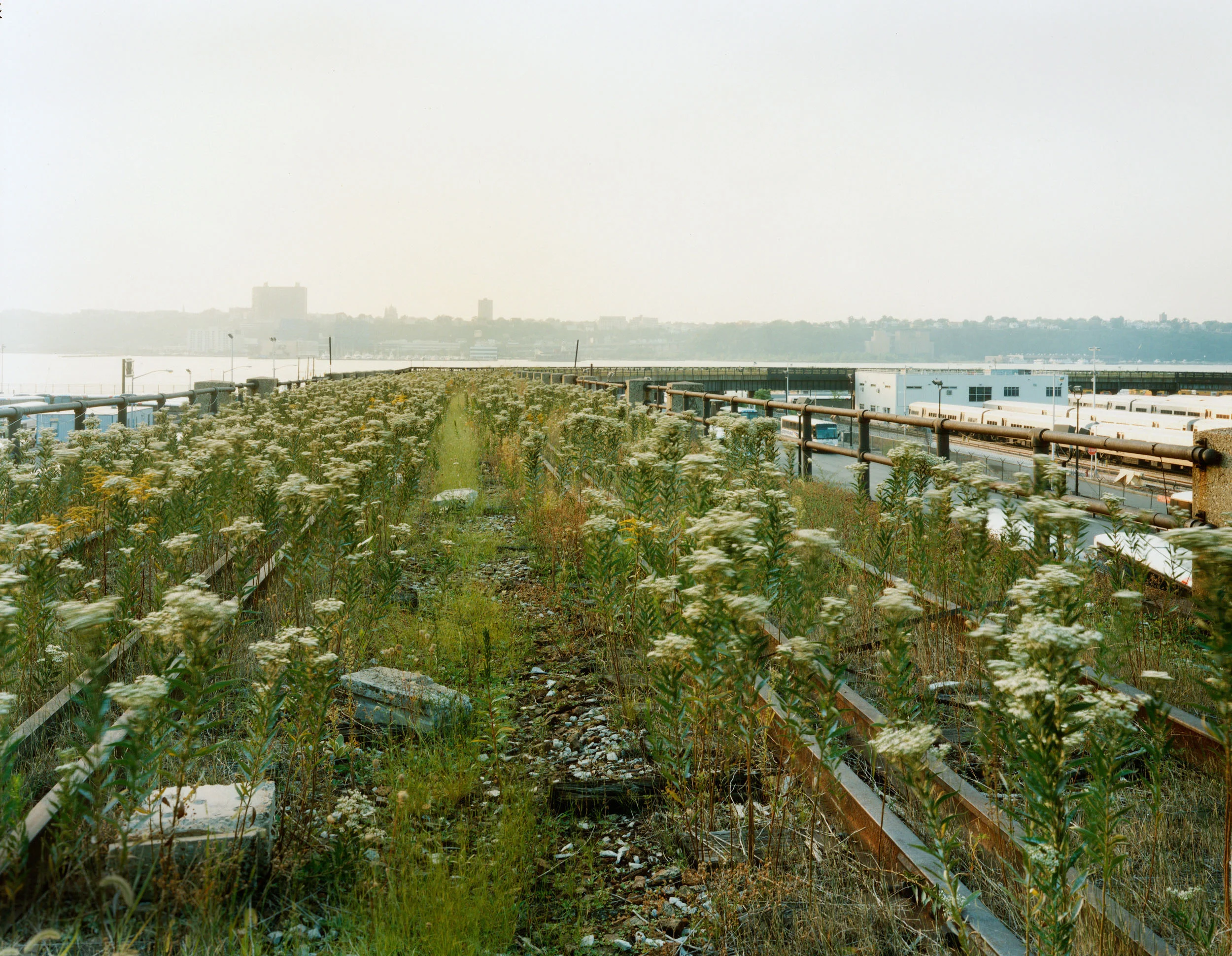 Walking The Highline — Joel Sternfeld